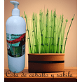 thumbnail image 1 of Shampoo de sabila y cola de caballo, 1 of 3