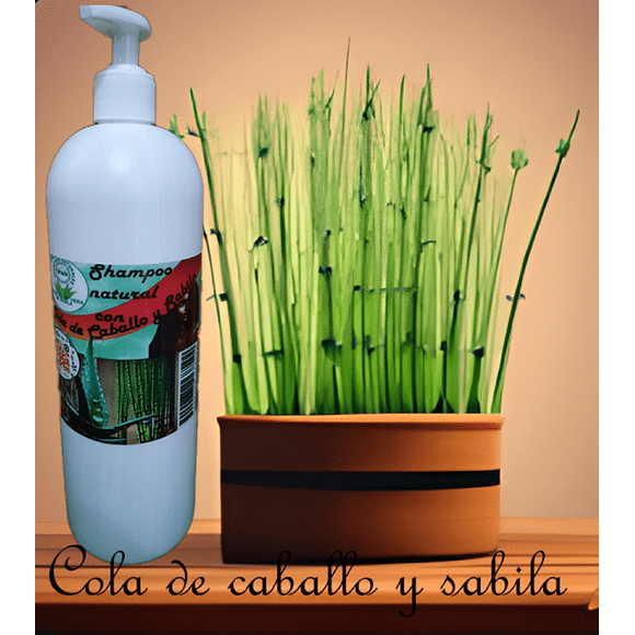 Shampoo de sabila y cola de caballo