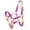 Purple, variant on Showman Pony Ombre Nylon Halter (Purple)