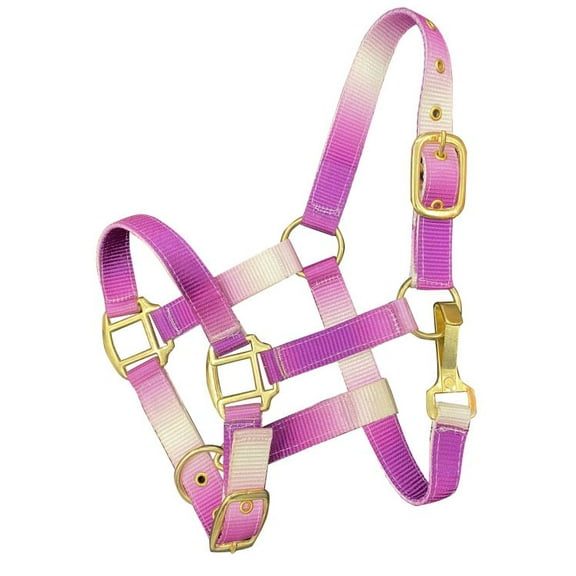 Showman Pony Ombre Nylon Halter (Purple)