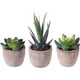 thumbnail image 1 of 3 uds suculentas artificiales/Cactus artificiales/plantas en macetas de cactus de simulación bonsái para el hogar decoración jardín verde, 1 of 5
