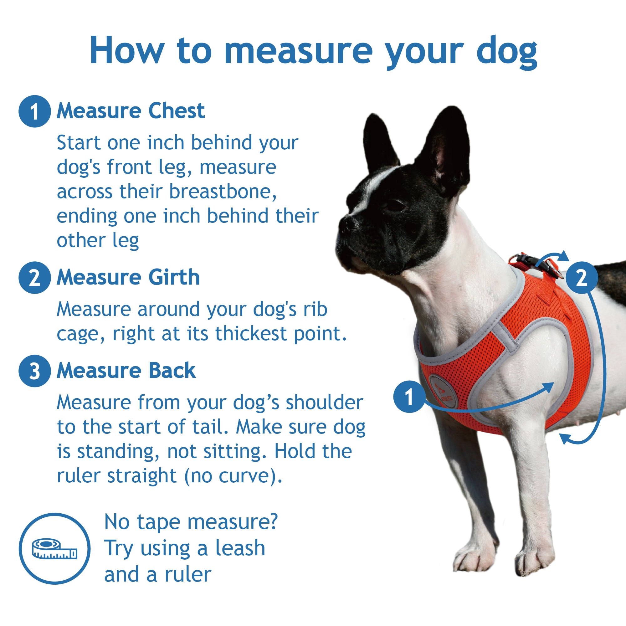 Doco DCA308-05L Athletica Quick Fit V-Neck Mesh Harness Leash, Gray - Large