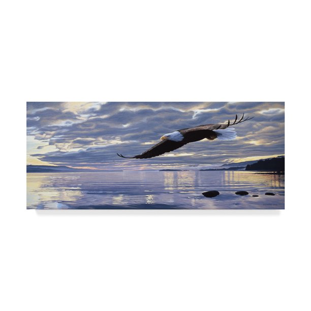 Trademark Fine Art Dawn Flight Canvas Art By Ron Parker Walmart Com Walmart Com