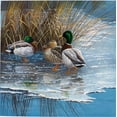 thumbnail image 2 of Weenink, Jan 26x26 White Modern Wood Framed Museum Art Print Titled - Three ducks on ice, 2 of 4