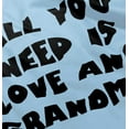 thumbnail image 5 of All You Need is Grandma Cute Grandkid Toddler Boy Girl T Shirt Infant Toddler Brisco Brands 5T, 5 of 6