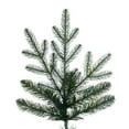 thumbnail image 2 of Vickerman 10' x 68" North Shore Fraser Fir Artificial Christmas Tree, Unlit, 2 of 4