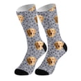 thumbnail image 3 of Stockings For Adults Funny Animal Print Bone Design Comfortable Stretchable Stockings Stocking For Home And Leisure 5PCS, 3 of 8