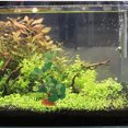 thumbnail image 2 of Artificial Plant Ornament Turtle Tank Fake Plant Reptile Climbing Plant Reptile Habitat Plant, 2 of 9