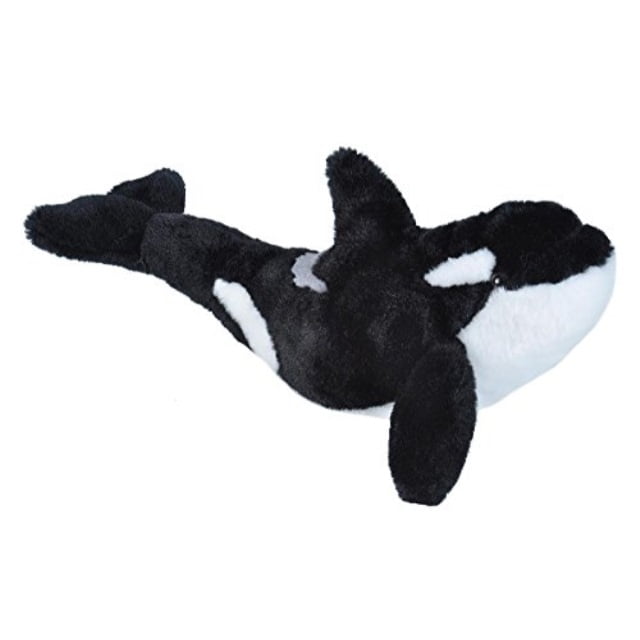 Spout Kohair Orca Whale 13" by Douglas Cuddle Toys 