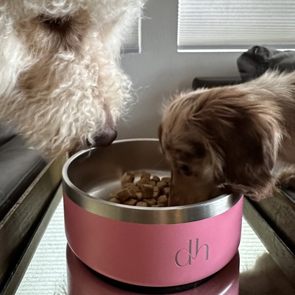 Dh Yeti Style Doodle Head Food/Water Bowl, Premium Stainless-Steel Pet Bowl