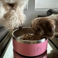 thumbnail image 4 of Dh Yeti Style Doodle Head Food/Water Bowl, Premium Stainless-Steel Pet Bowl, 4 of 4