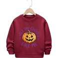 thumbnail image 4 of SJLDQY Halloween Sweatshirts for Boys Fall Winter Lined Long Sleeve Crew Neck Sweatshirt Hallowmas Pumpkin Graphic Pullover Tops for Boys, 4 of 4