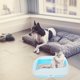 thumbnail image 4 of unbranded Portable Cat Litter Box Sky Blue Semi Enclosed for Home and Travel Use, 4 of 7