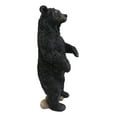 thumbnail image 3 of Western Rustic Forest Standing Black Bear Statue 12"H Cabin Lodge Bears Figurine, 3 of 6