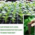 thumbnail image 3 of Apuakthei Esponjas de cultivo para uso con tapones de cultivo de plantas ecológicos, esponjas para el crecimiento de plantas hidropónicas, 3 of 6