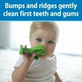 thumbnail image 5 of Dr. Brown's Peapod Teether & Training Toothbrush, Soft 100% Silicone, BPA Free, 3m+, 1 Pack, 5 of 19