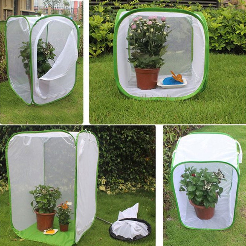 Buy Foldable Insect Habitat Cage Seedling Plant Light Transmission Net