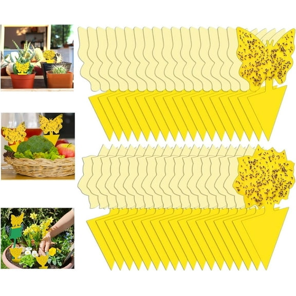 54 Pack Fruit Fly Trap for Indoor, Gnat Traps for House Indoor, Fungus Gnat Killer Sticky Traps for plants, Mosquitoes, Flying Insects