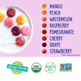 thumbnail image 4 of Organic Pops Variety Pack, 60 Fruit Flavored Favorites Lollipops, Allergy Friendly, Gluten Free, Non-GMO, Vegan, No Artificial Flavors or Dyes, 4 of 5
