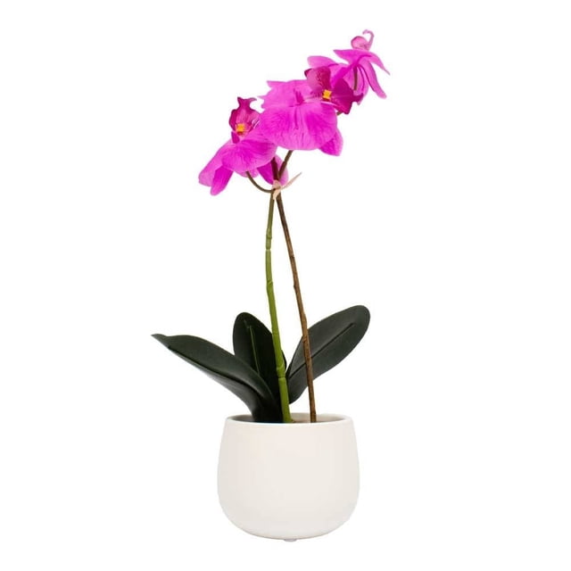 Planta Artificial Mainstays 42 x 10 x 10 cm Orquidea Rosa con Maceta