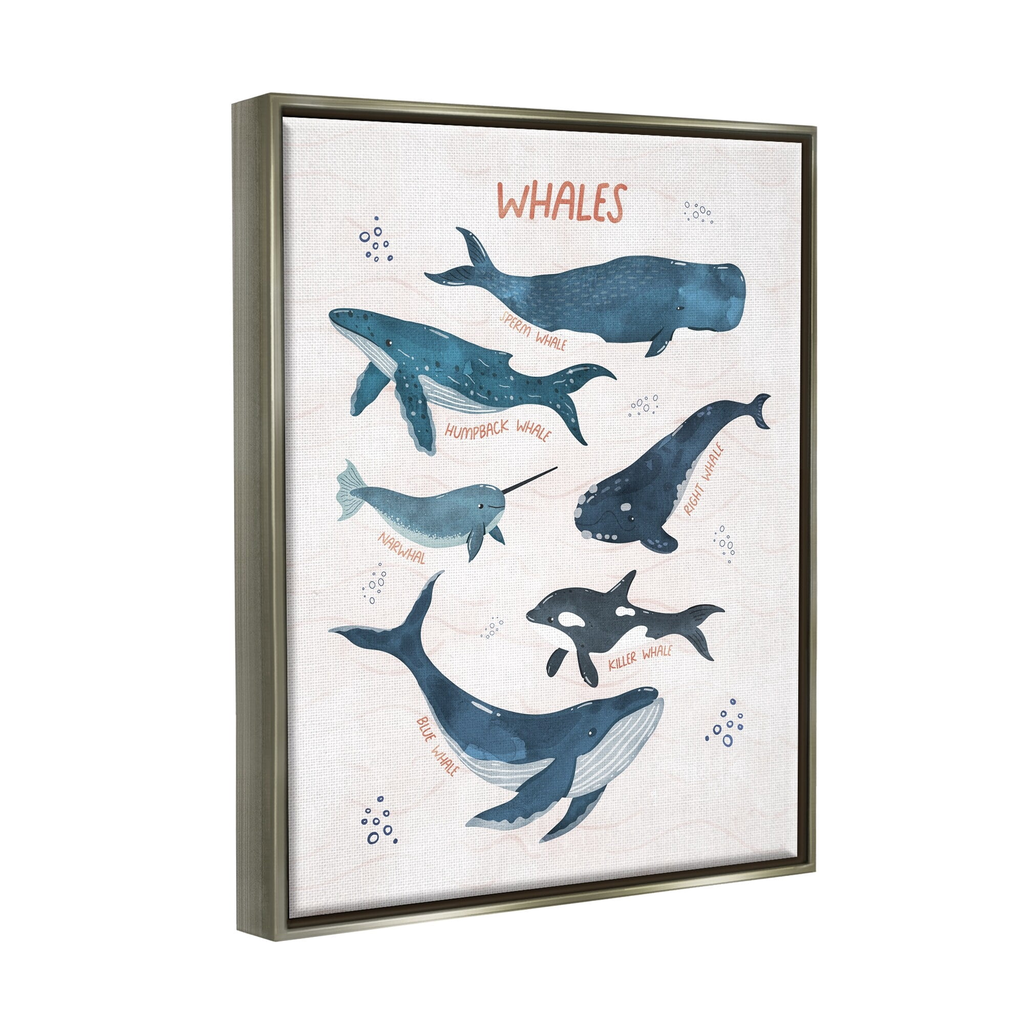 Stupell Industries Nautical Diagram Whale Narwhal Types Bubbles Illustration Luster Gray Framed Floating Canvas Wall Art, 16x20, by Nina Blue