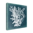 thumbnail image 2 of Trademark Fine Art 'Azure Coral I' Canvas Art by Vision Studio, 2 of 4