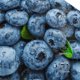 thumbnail image 3 of Balery Fresh Blueberries Gorra de béisbol de tamaño ajustable para correr, entrenar y actividades al aire libre. Gorra de papá para todas las estaciones., 3 of 6