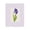 French Country Purple Stripe Iris, variant on Stupell Industries Shabby Chic Minimal Mixed Bouquet Gray Floating Frame Canvas Art, 25 x 31, by RB
