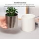 thumbnail image 4 of Wosthever Maceta de cerámica a rayas de estilo nórdico, maceta, contenedor de plantas verdes, para bonsái, oficina, jardín, regalos Jardín y Patio Blanco 10*10cm Wosthever HA084137-02, 4 of 6