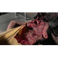 thumbnail image 3 of MUSIC VIDEO DIST ZOMBIE 3 (DVD) DSEV92315D, 3 of 5