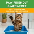 thumbnail image 4 of Arm & Hammer Feline Pine Non-Clumping Natural Cat Litter, 9.07 kg, 4 of 6