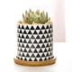 thumbnail image 1 of Macetas suculentas de cerámica nórdica con agujeros geométricos Mini macetas vidriadas macetas de jardinería Oficina escritorio Bonsai Macetas estilo 6 DYNWAVEMX maceta suculenta, 1 of 8