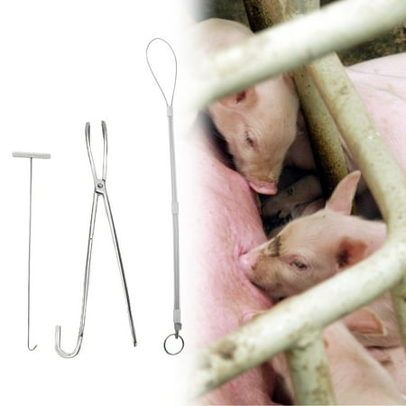 

Amonsee Midwifery Rope Hook Anti Rust Pig Midwifery Set Tools Durable For Pig