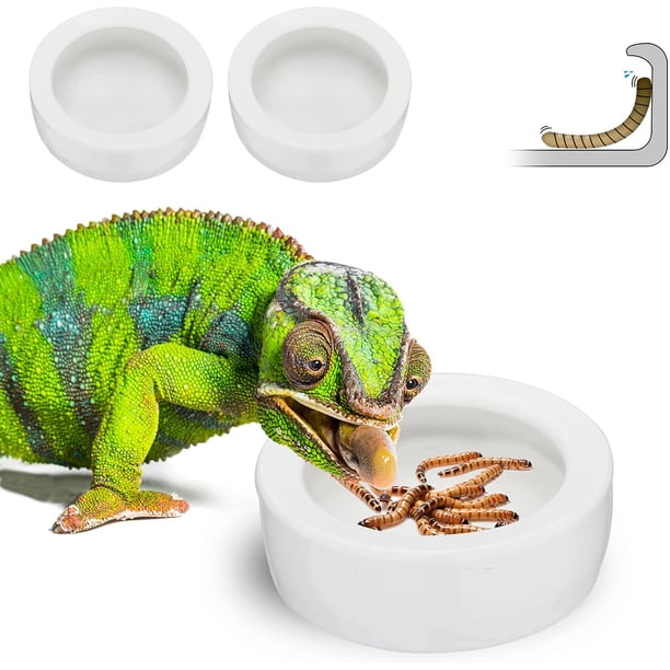 Cuencos de agua para reptiles, plato para gusanos, alimentador antiescape, cuencos de cerámica para mascotas, cuencos para gusanos, pequeño circular (paquete de 2) oso de fresa Juguete
