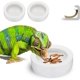 thumbnail image 1 of Cuencos de agua para reptiles, plato para gusanos, alimentador antiescape, cuencos de cerámica para mascotas, cuencos para gusanos, pequeño circular (paquete de 2) oso de fresa Juguete, 1 of 4