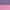 Purple-Pink, variant on We Sell Mats Gymnastics Incline Mat, Folding and Non-Folding Cheese Wedge Skill Shape, Tumbling Mat for Gymnastics Training, Cheerleading and Obstacle Courses