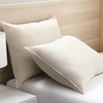 thumbnail image 1 of 2pk Big Lion Zig Zag Pillows, 1 of 4