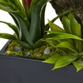 thumbnail image 4 of Nearly Natural Dendrobium Orchid and Bromeliad Silk Arrangement in Planter-Color:Purple, 4 of 6
