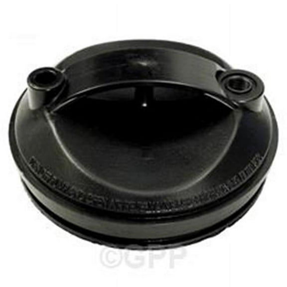 Waterway Plastics WW5111000B Pool Filter Lid