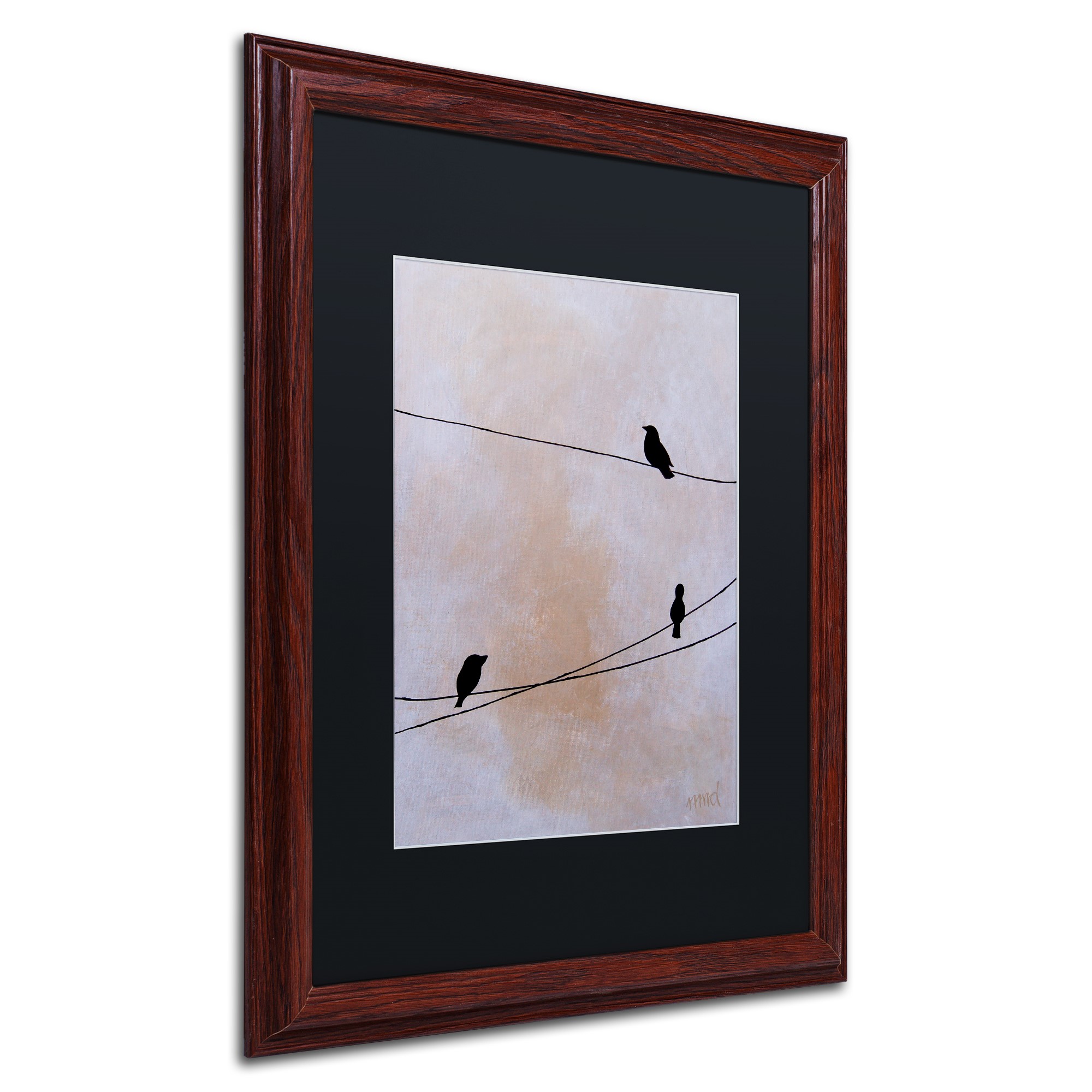 Trademark Fine Art 'Bird on Wire White' Canvas Art by Nicole Dietz, Black Matte, Wood Frame
