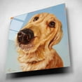 thumbnail image 6 of Epic Art 'Follow Your Nose 4' by Lucia Heffernan, Acrylic Glass Wall Art, 12"x12", 6 of 13