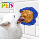 thumbnail image 5 of TAPETE P/LAMER CON ESPATULA MODELO PERRO, 5 of 5