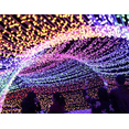 thumbnail image 5 of Guirnalda de luces LED navideñas para exterior Thrisdar de 50 m (blancas), 5 of 5