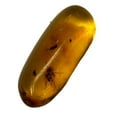 thumbnail image 2 of Genuine Amber Specimen with Insect Inclusions -15/16" x 3/8", 2 of 3