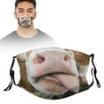 thumbnail image 2 of Funny Animal Face Reusable Washable with Tiger Cat Dog Monkey Pig Designs for Kids & Adults, 2 of 5