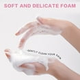 thumbnail image 2 of Rose Amino Acid Cleansing Foam, Sulfate-Free Hydrating Korean Face Wash, Gentle Lather, pH-Balanced Skincare Rich Foaming Hydrating Face Wash, Deep Cleansing, 2 of 9