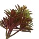 thumbnail image 2 of Planta suculenta artificial de imitación, planta artificial de plástico, decoración para oficina y hogar., 2 of 6