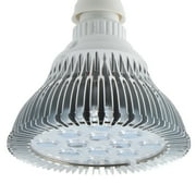 ABI LED Light Bulb for Red Light Therapy, 660nm Deep Red and 850nm Near Infrared Combo, 24W Class