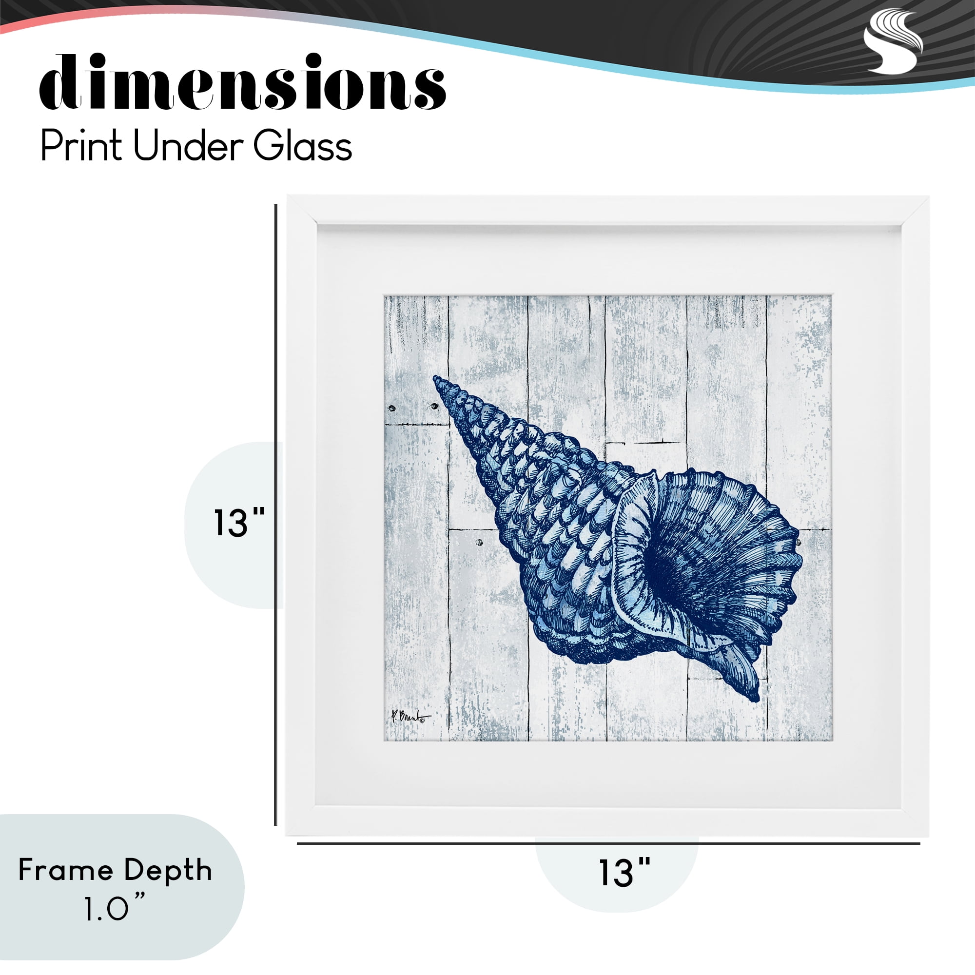 Stupell Industries Coastal Timberland Conch White Framed Print Under Glass, design by Paul Brent
