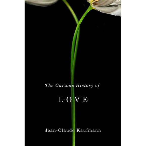 The Curious History of Love (Hardcover)